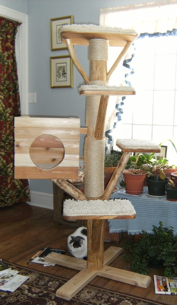 Кошачий домик