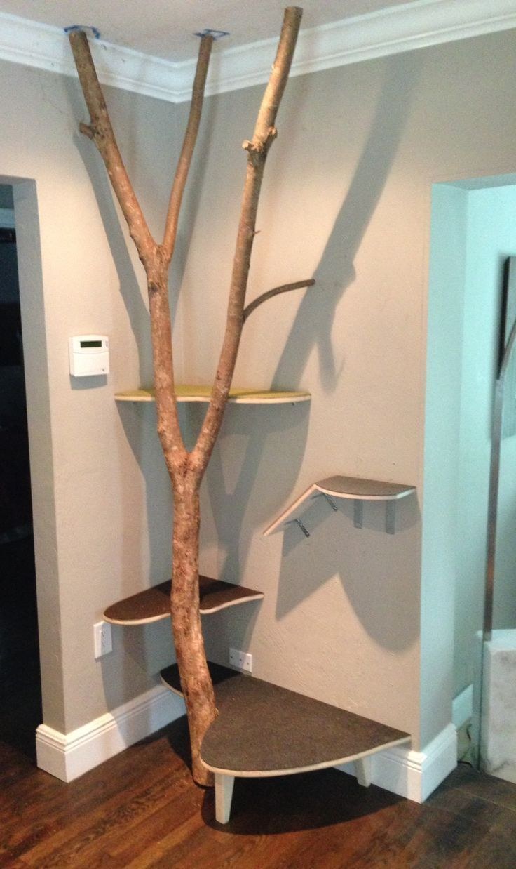 Домик для кошки из ствола дерева