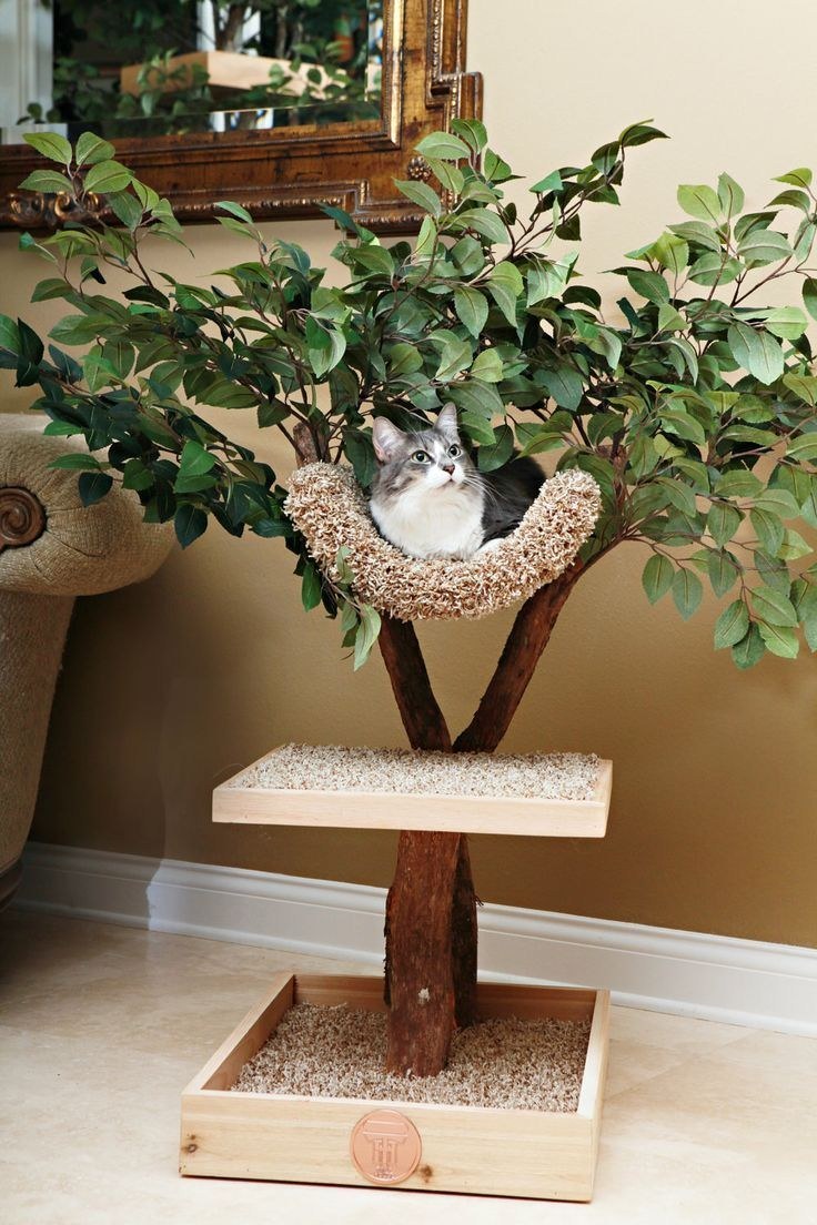 Дерево для кошки в квартире