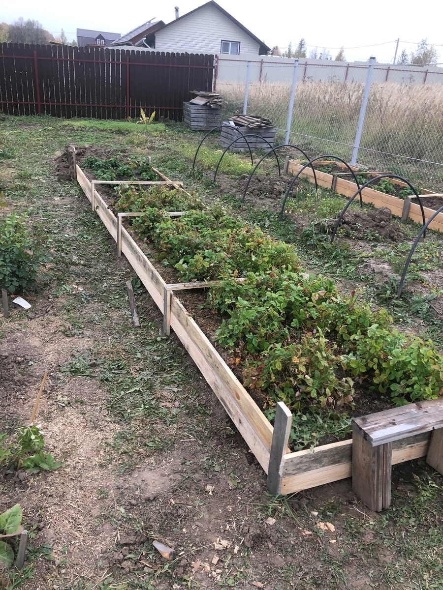 Огородить грядки на даче