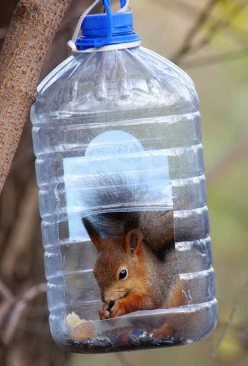 Кормушки из пластиковых бутылок