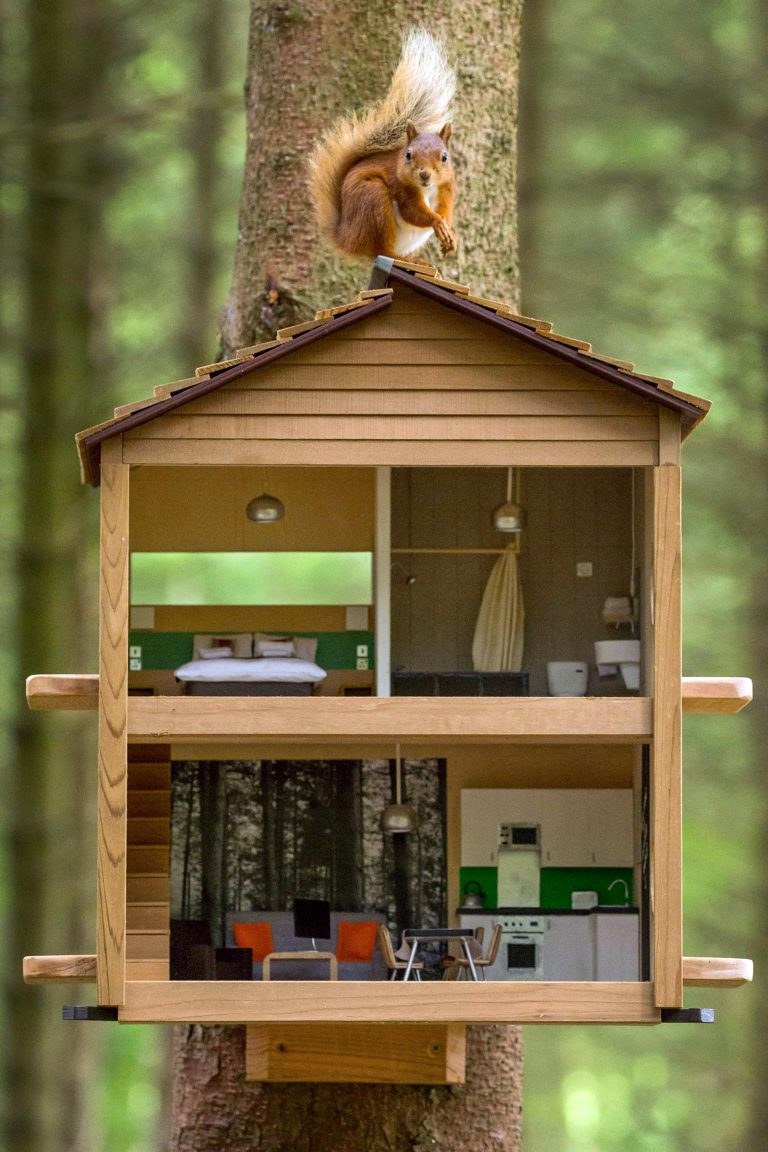 Скворечник-бельчатник "пищуха"