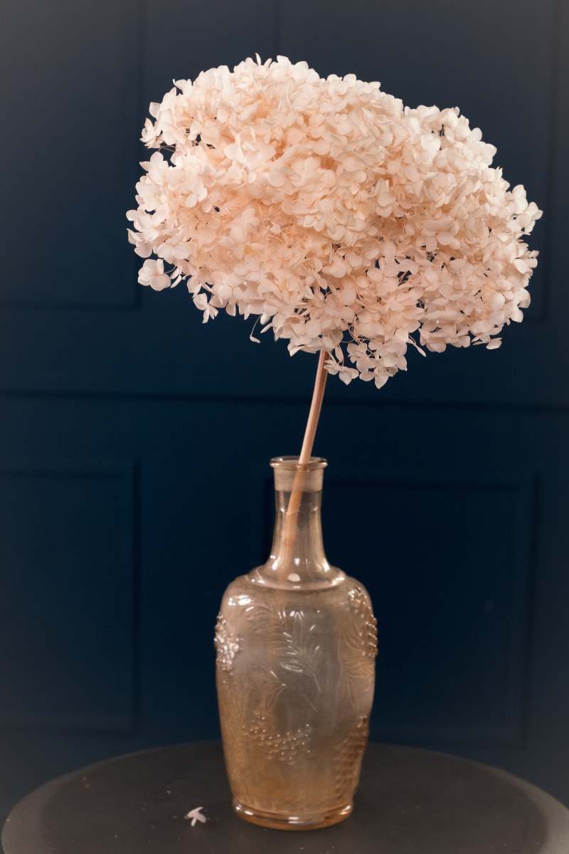 Гортензия сухоцвет в интерьере (94 фото)