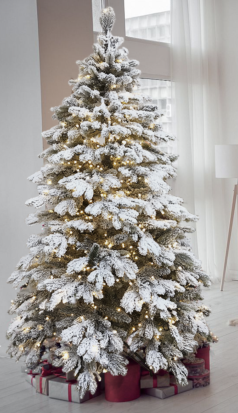 Заснеженная елка