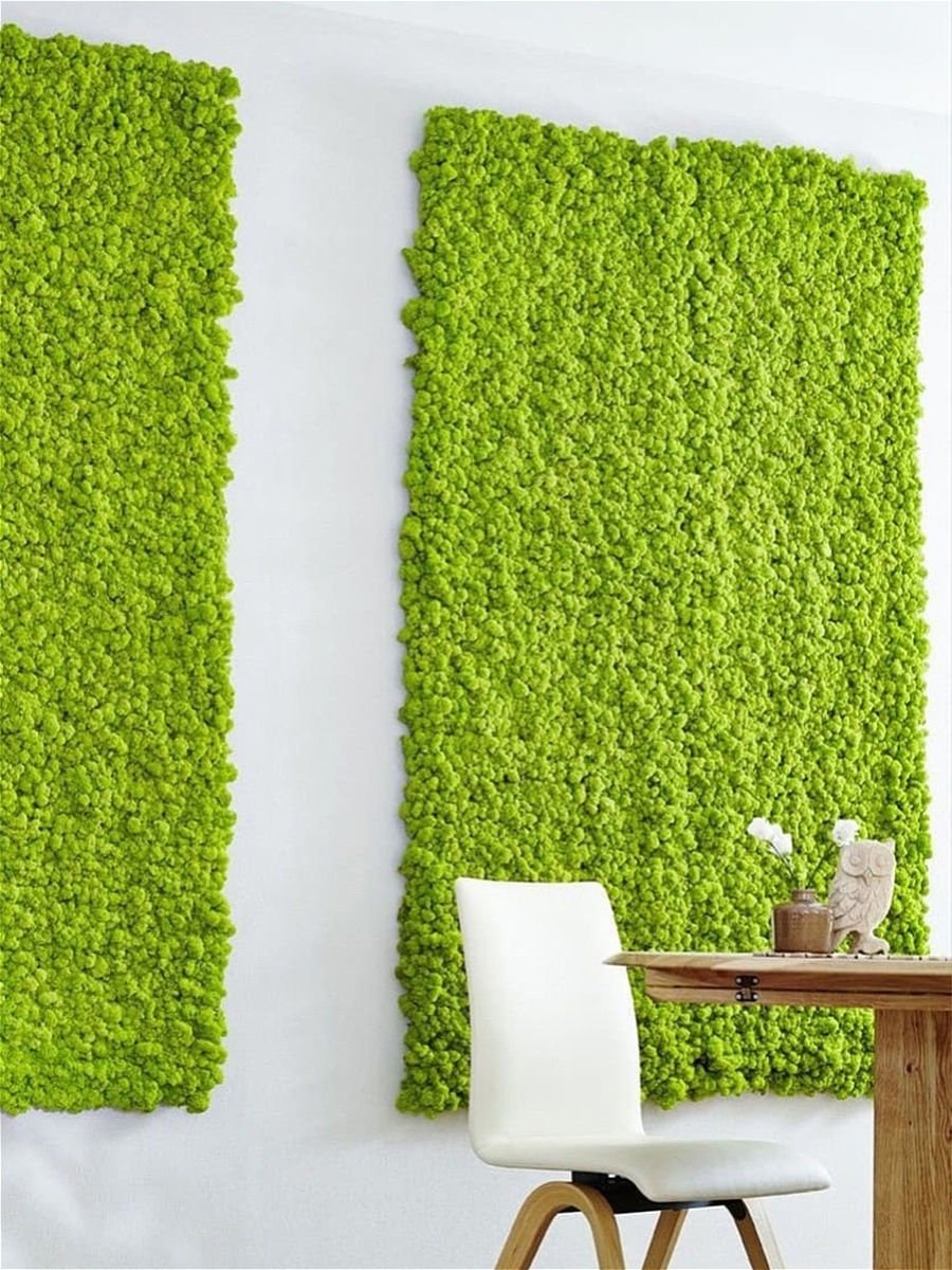 Фитостена мох стабилизированный