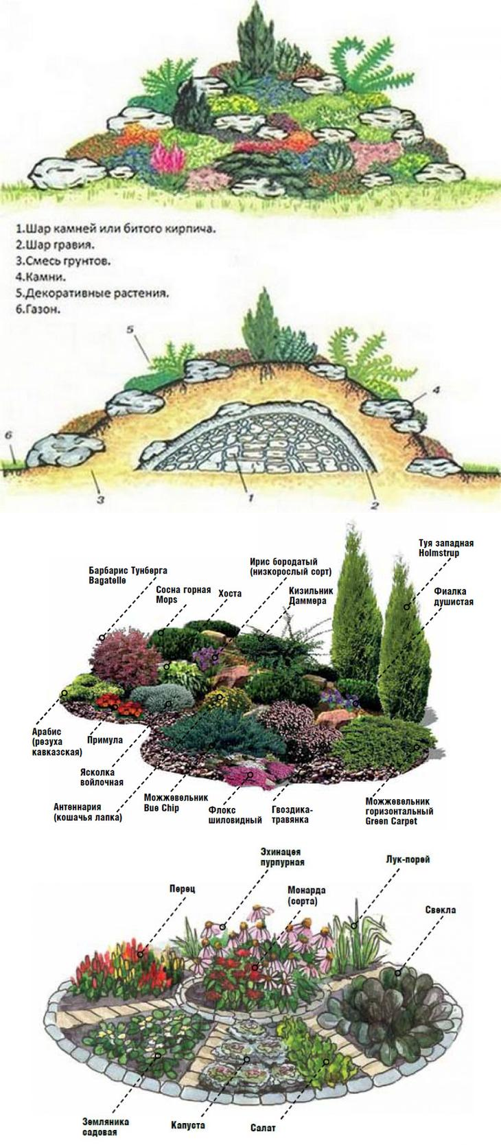 Альпинарий схема посадки растений