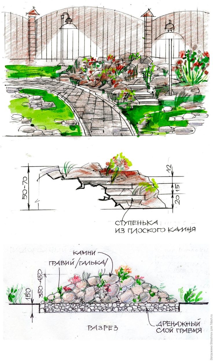 Альпинарий план схема