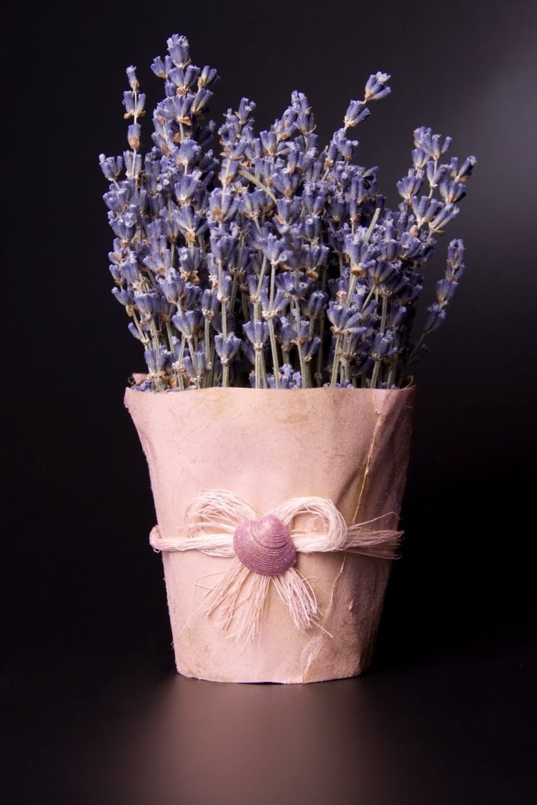 Снопик лаванды