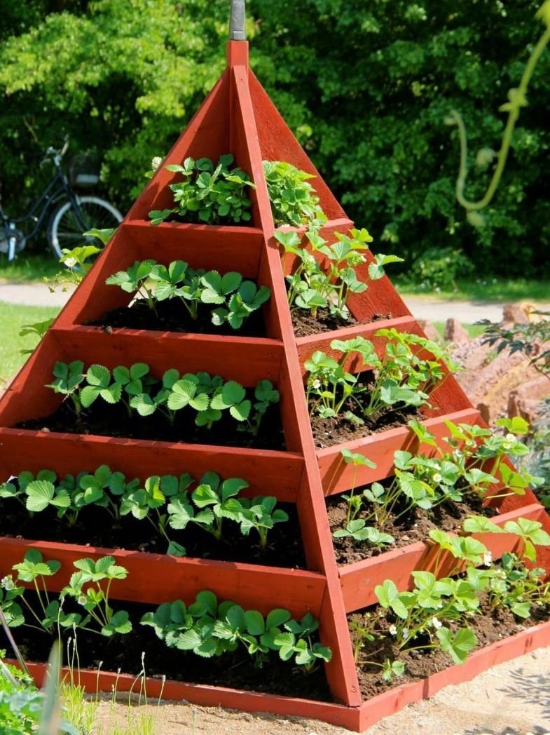 Грядки для клубники многоярусные