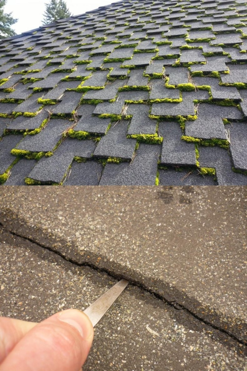 Рубероид (Шинглас)