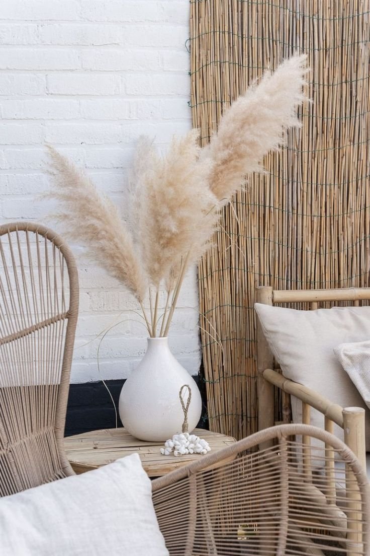 Пампасная трава камыш