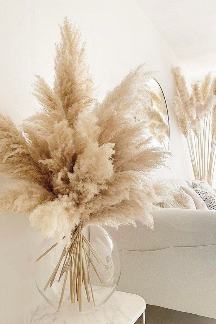 Пампас сухоцвет