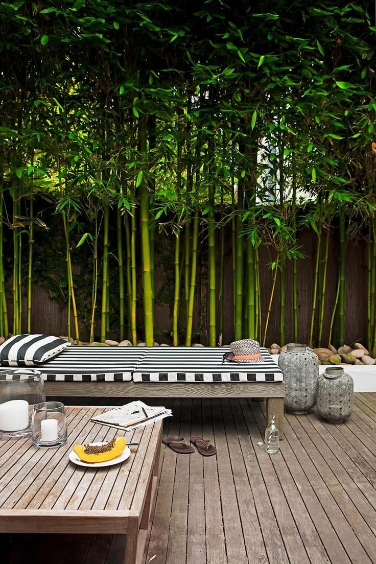 Терраса в тропическом стиле