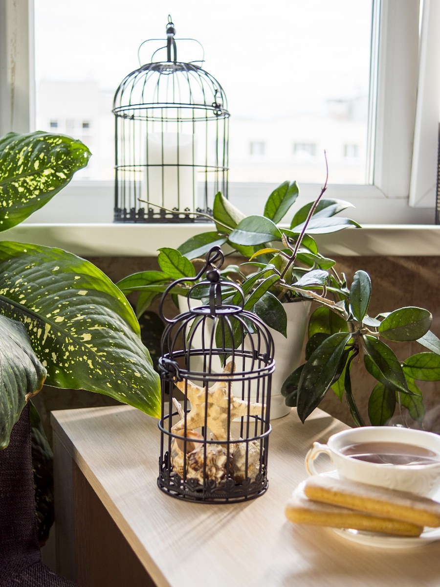 Декоративная клетка в интерьере