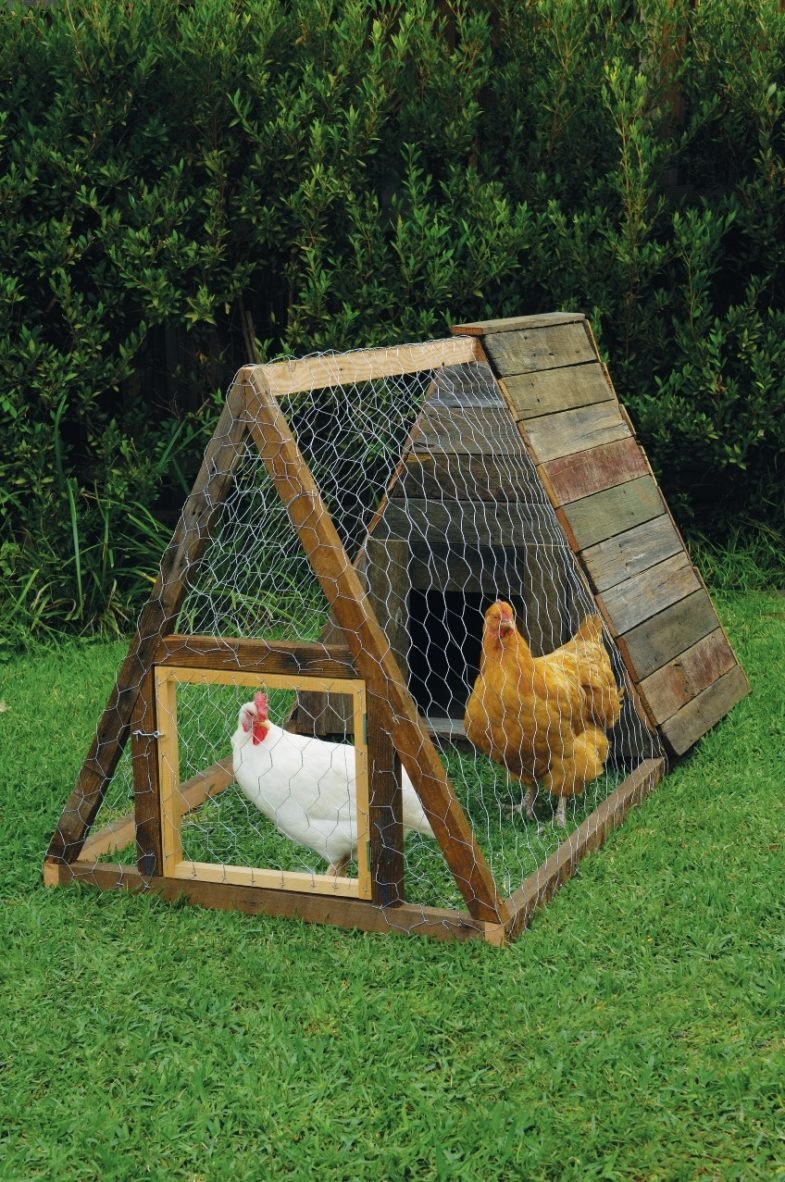 Летний курятник на 10 бройлеров
