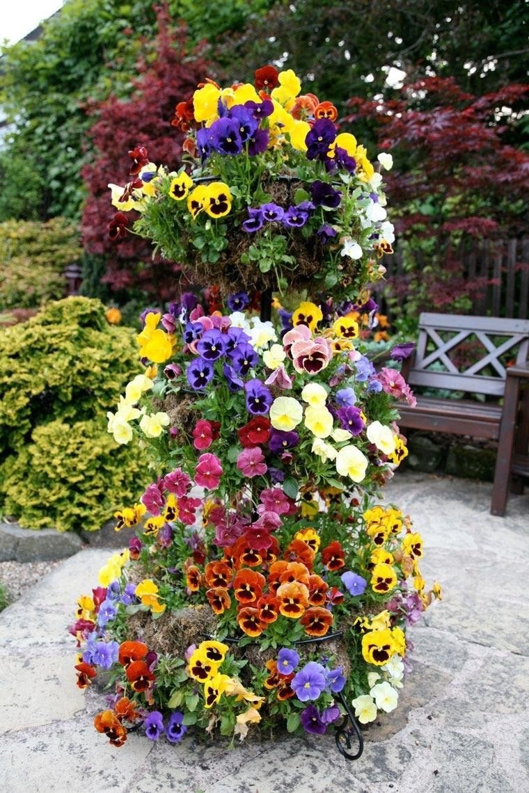 Виола Виттрока на клумбе