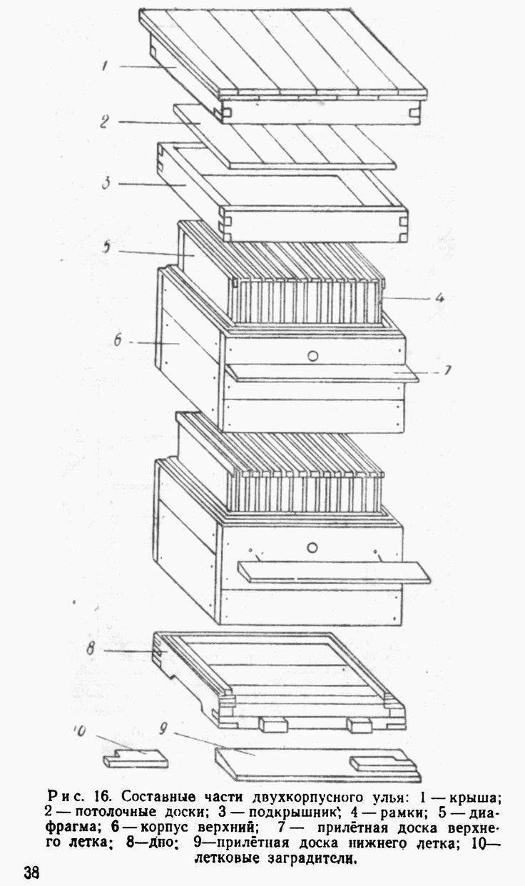 Улей для пчел Дадан на 12
