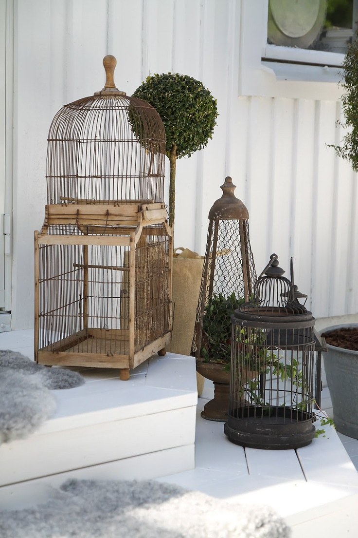 Дизайнерская клетка для птиц