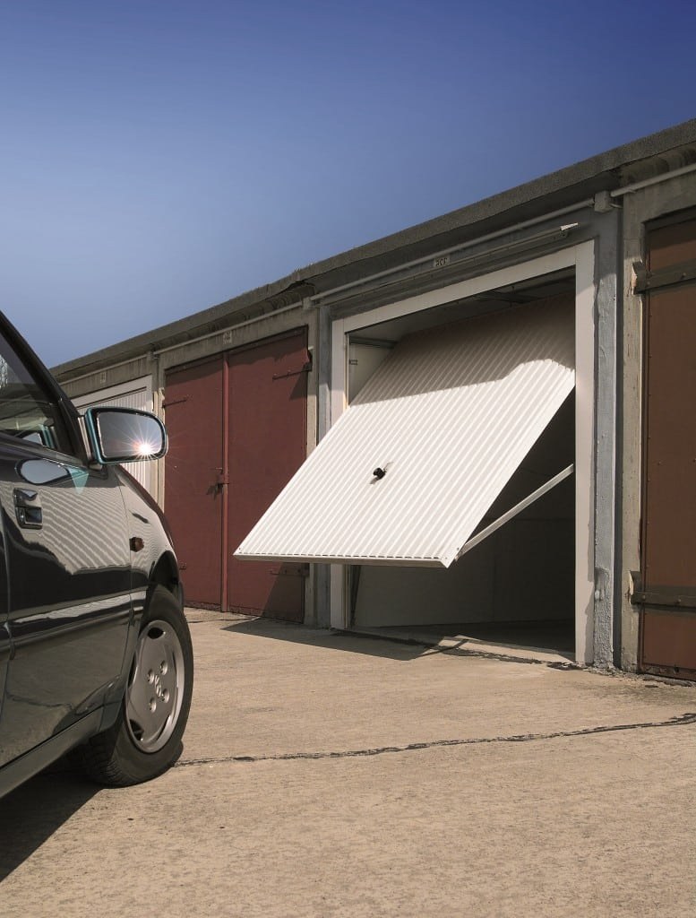 Ворота Херманн Берри