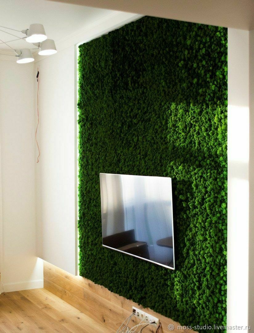 Фитостена Моховая