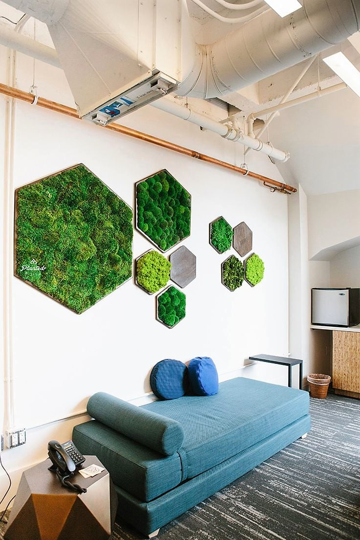 Мох в декоре интерьера