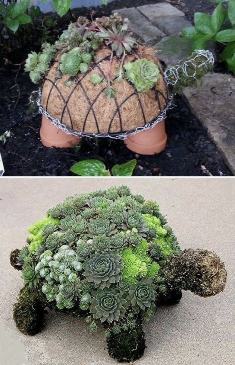 Альпийская горка с каменной розой молодило