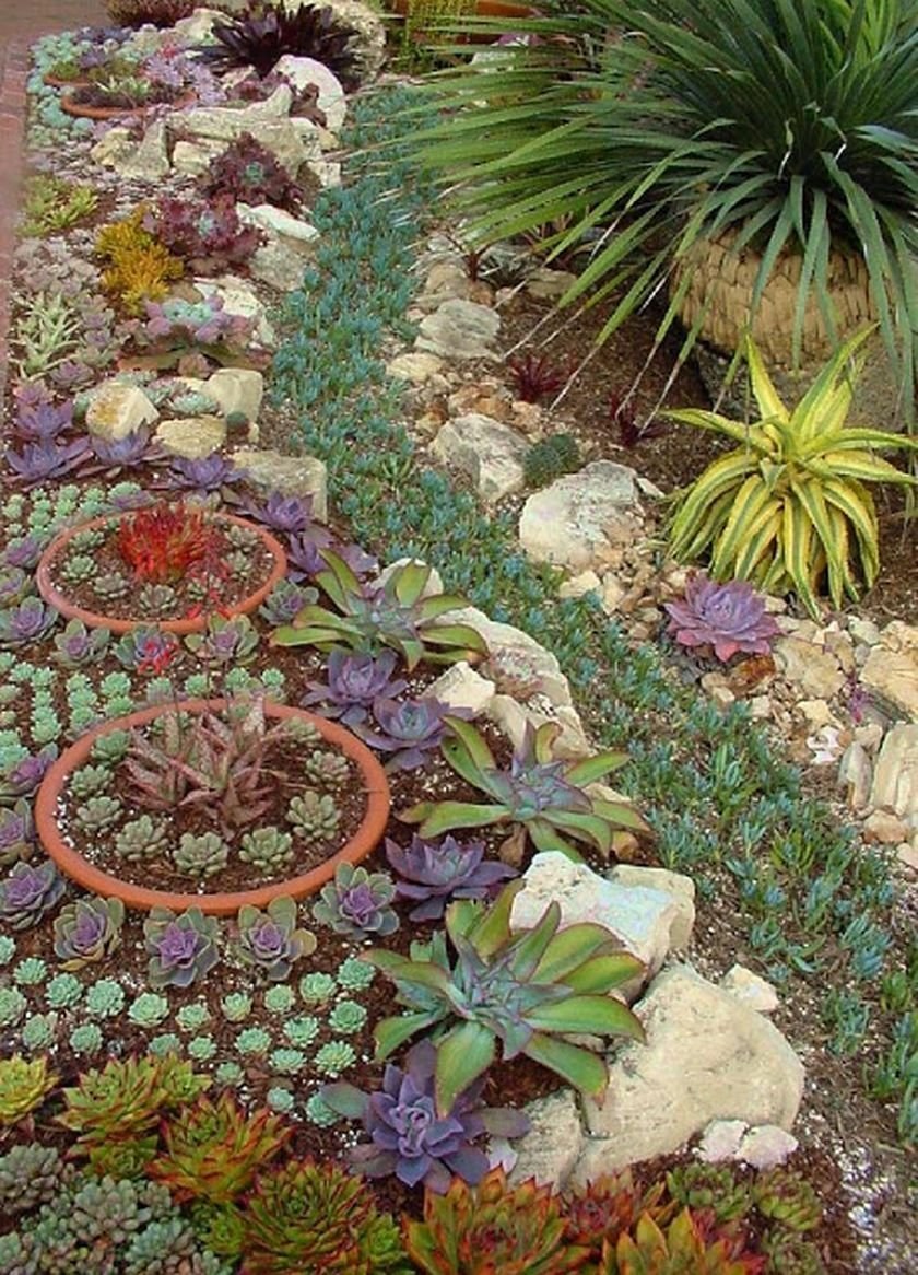 Альпийский ландшафт молодило