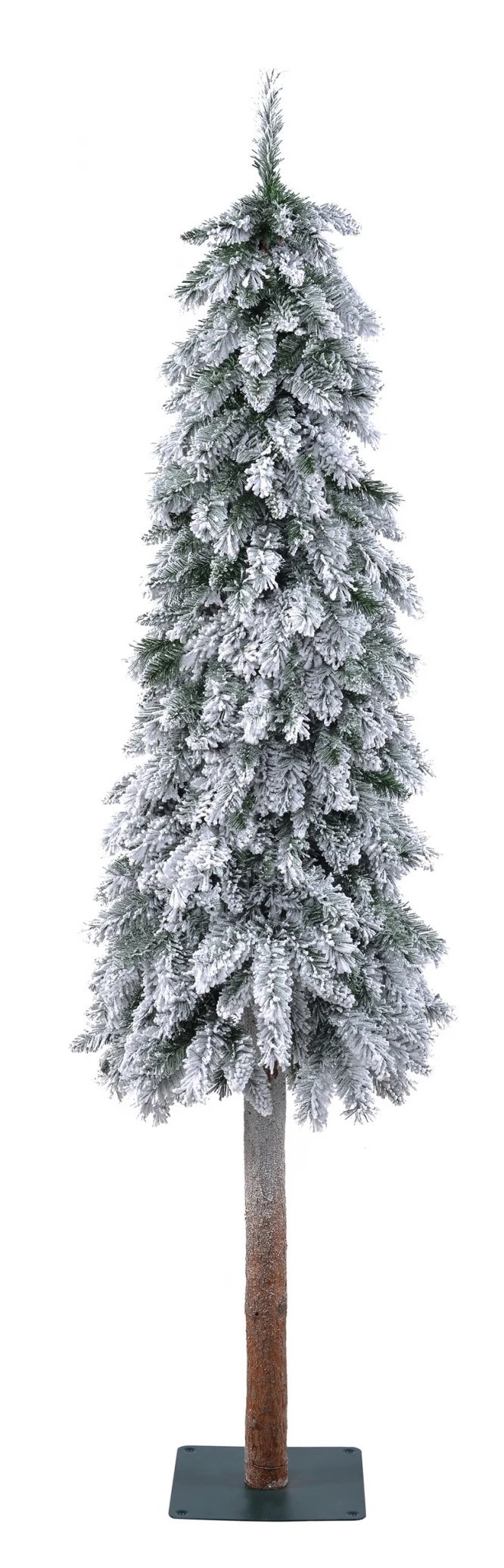 Black Box ель Смолянистая 1.55