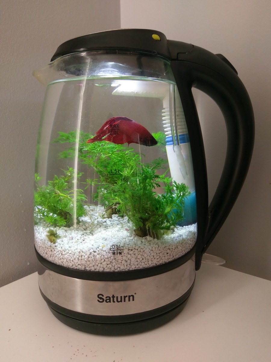 Аквариум 30 литров 2 фильтра в аквариум