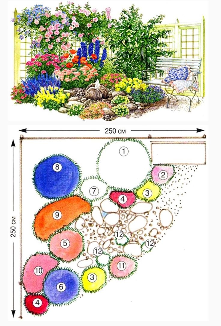 Схема цветника миксбордера