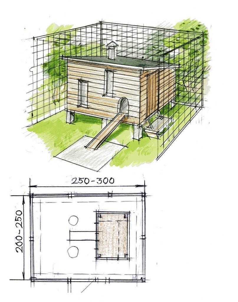 Зимний курятник для несушек на 20 кур
