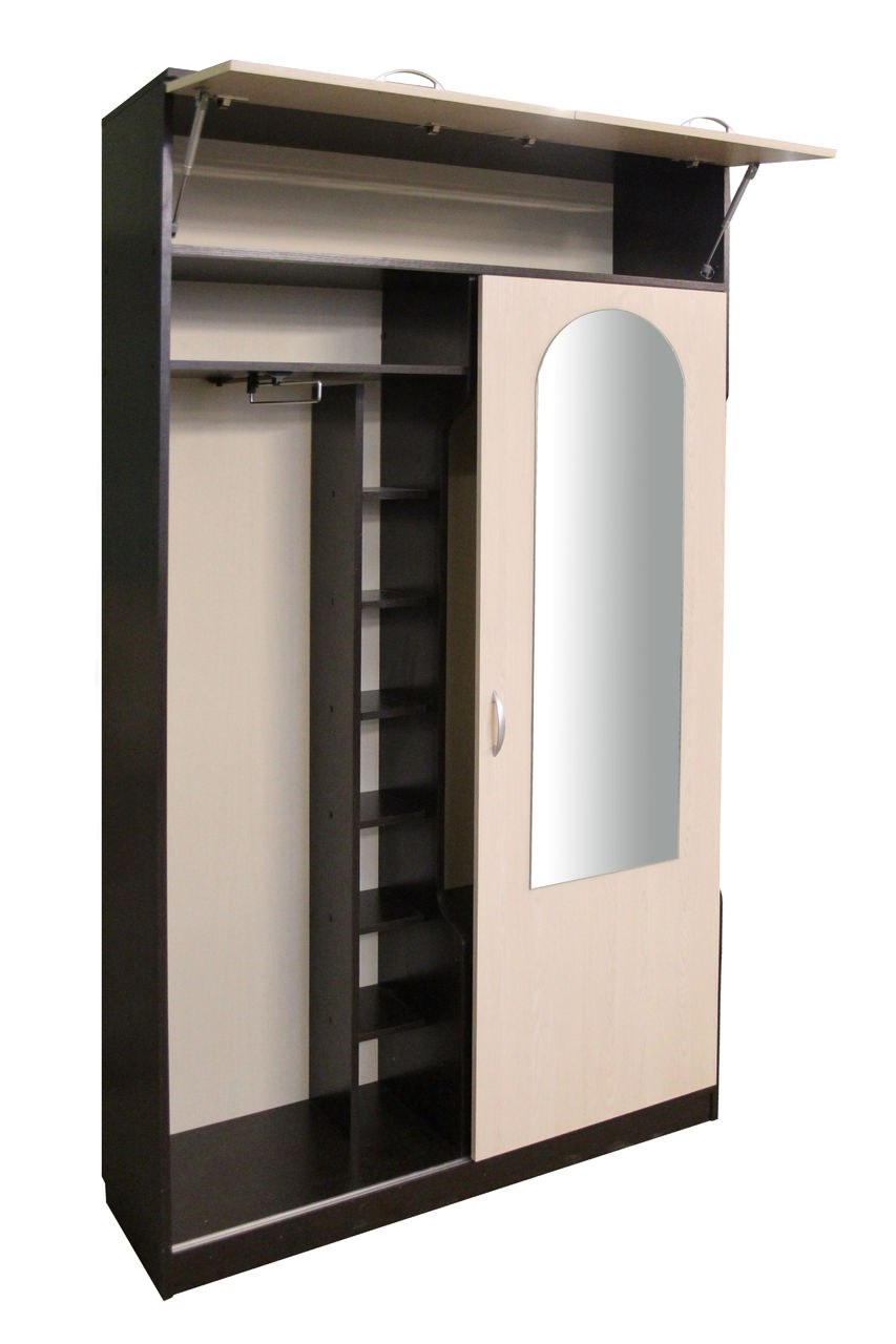 Прихожая со шкафом купе и вешалками