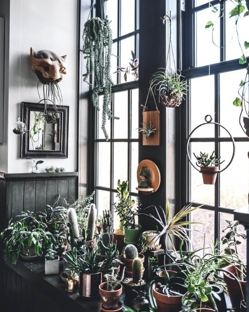 Urban Jungle стиль в интерьере