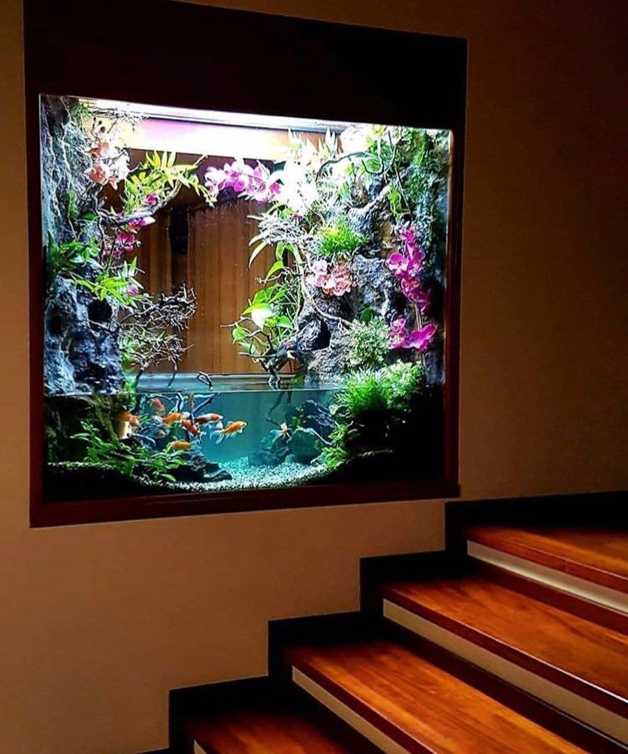 Настенный аквариум Himat