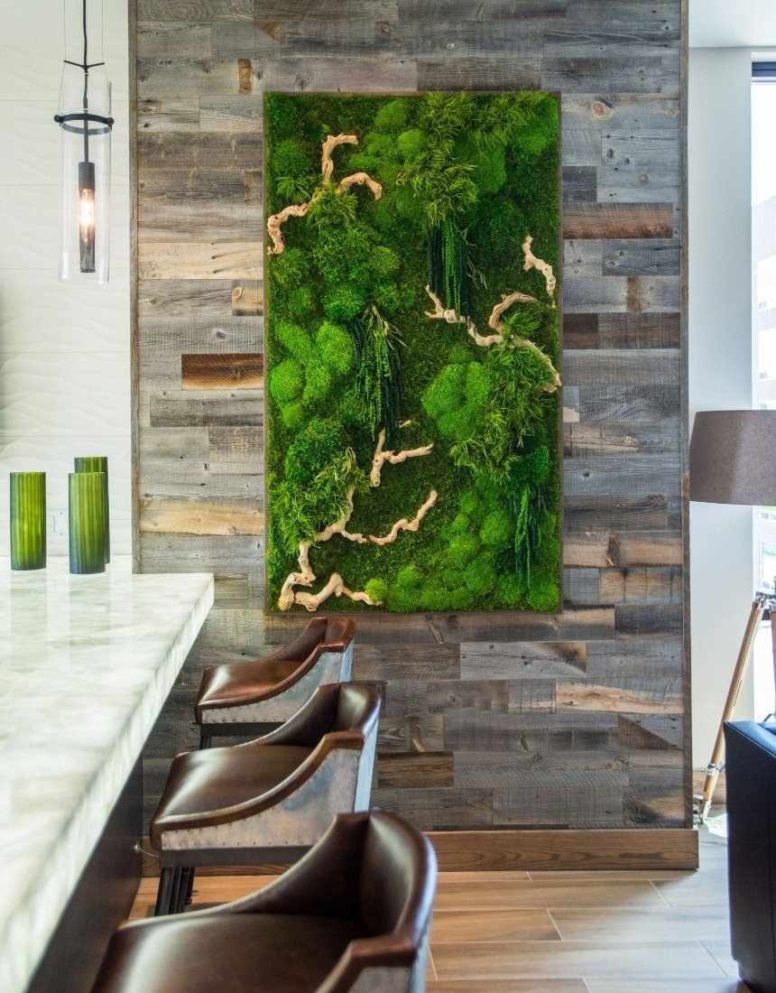 Фитостена мох стабилизированный