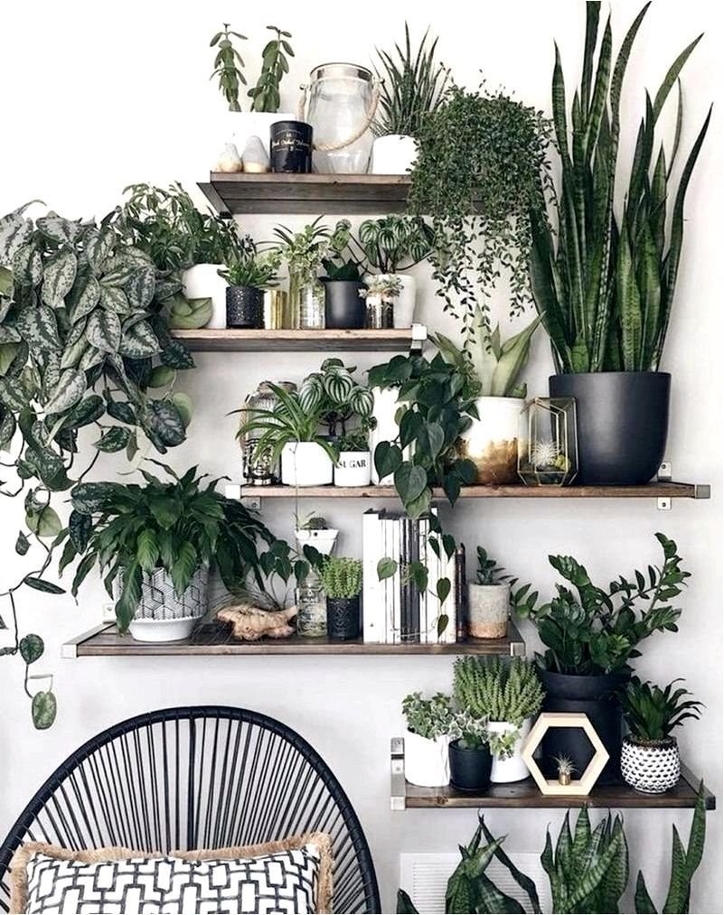 Цветы в интерьере