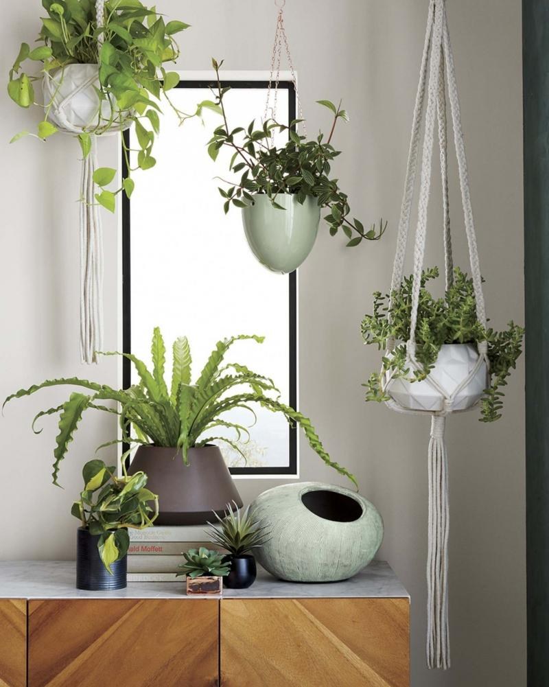 Подвесные кашпо в интерьере квартиры