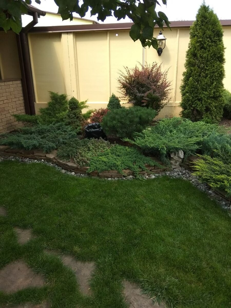 Можжевельник Флориан