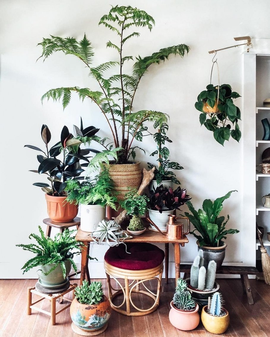 Цветы в горшках в интерьере