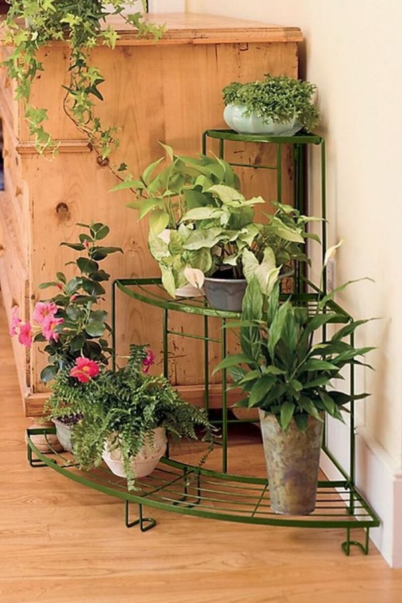 Цветочный уголок в комнате