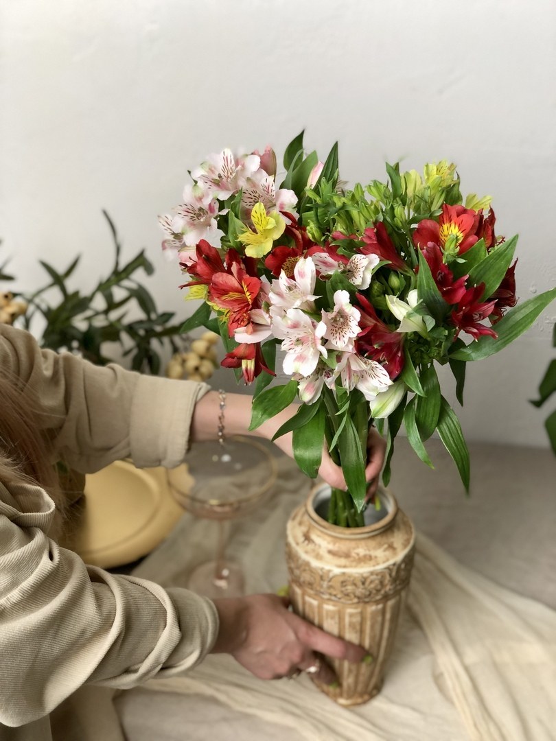 Альстромерия фото