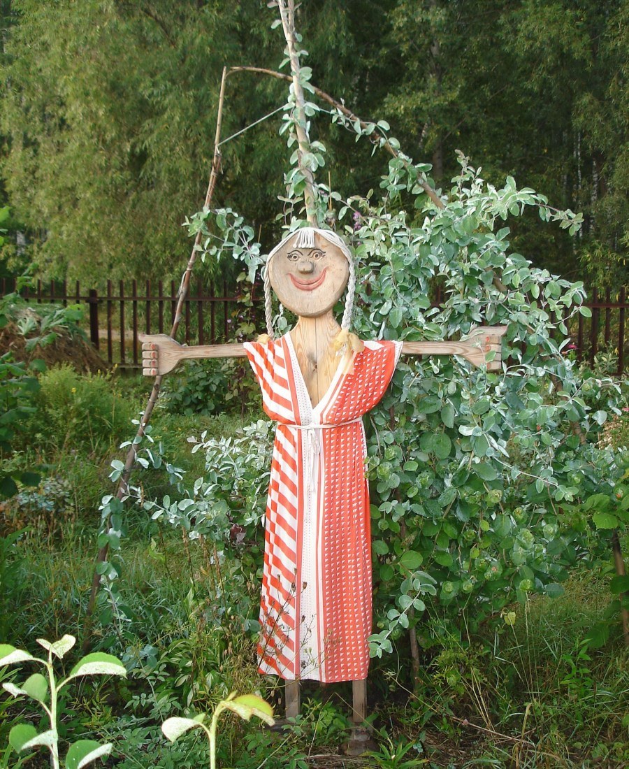Пугало в огороде