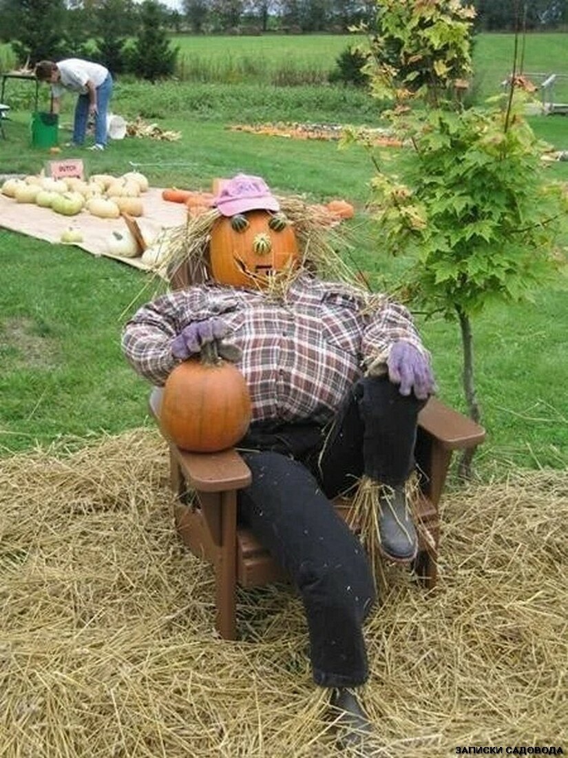 Чучело на дачу