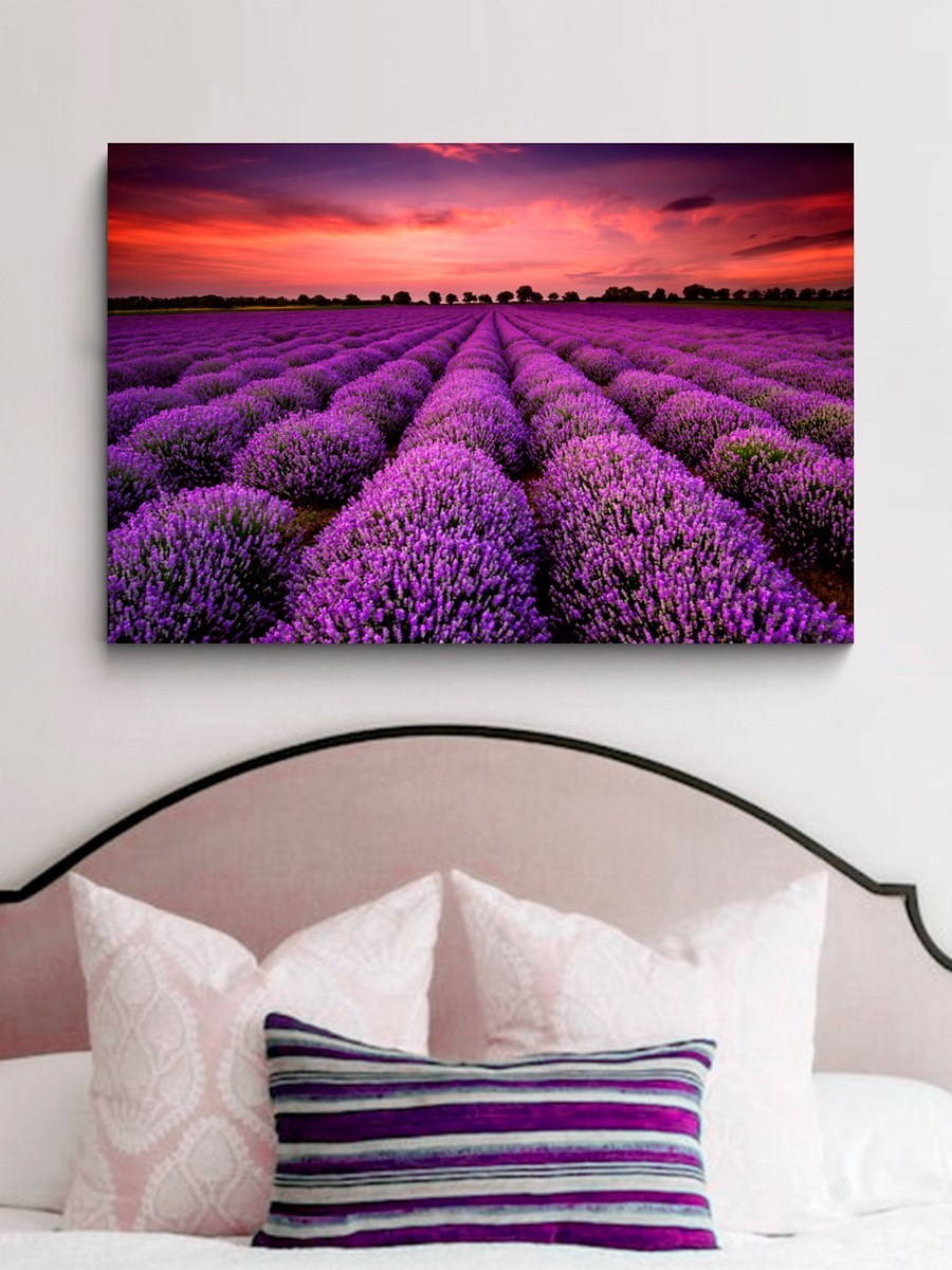 Картины с лавандой в интерьере