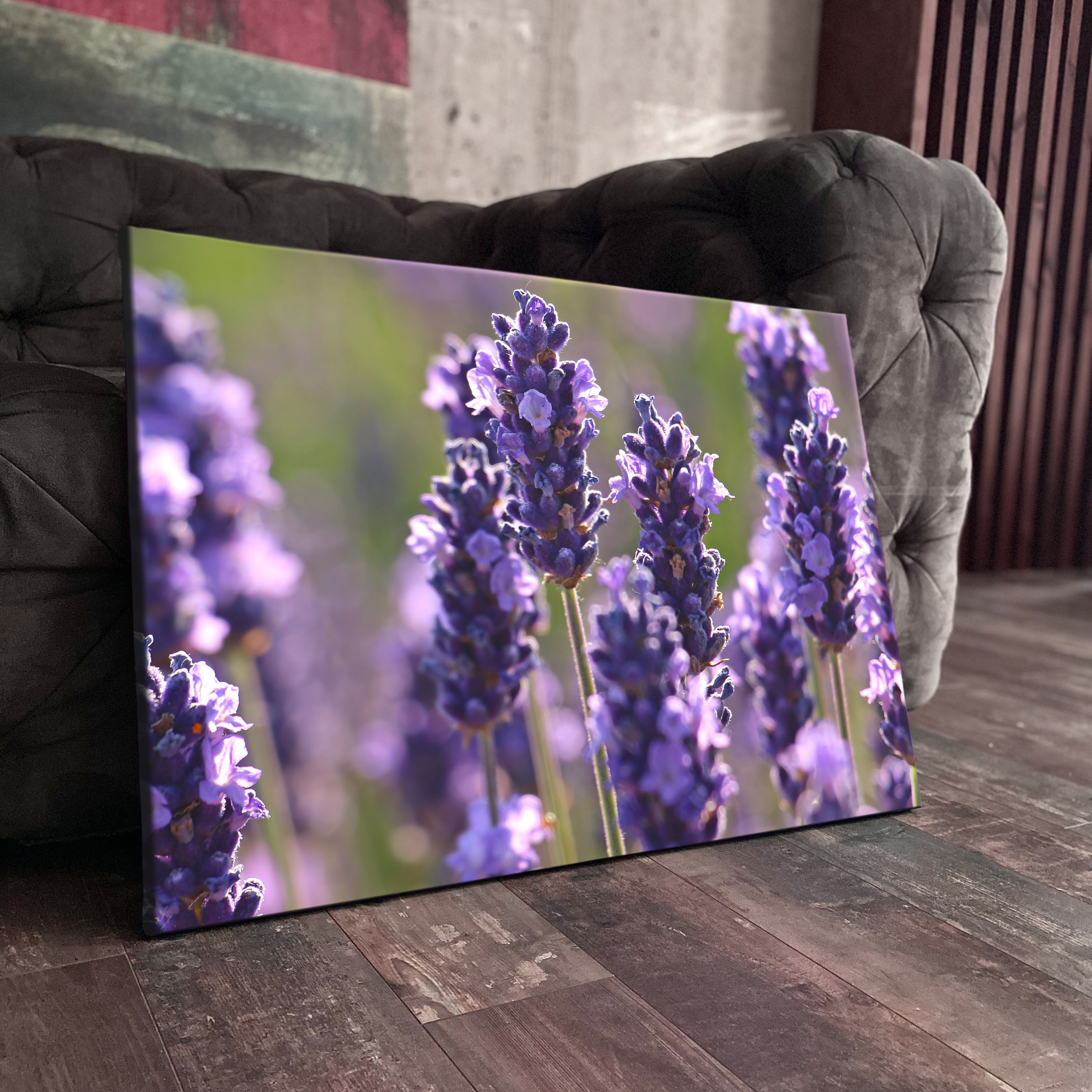 Картина с лавандой в интерьере (56 фото) - красивые картинки и HD фото