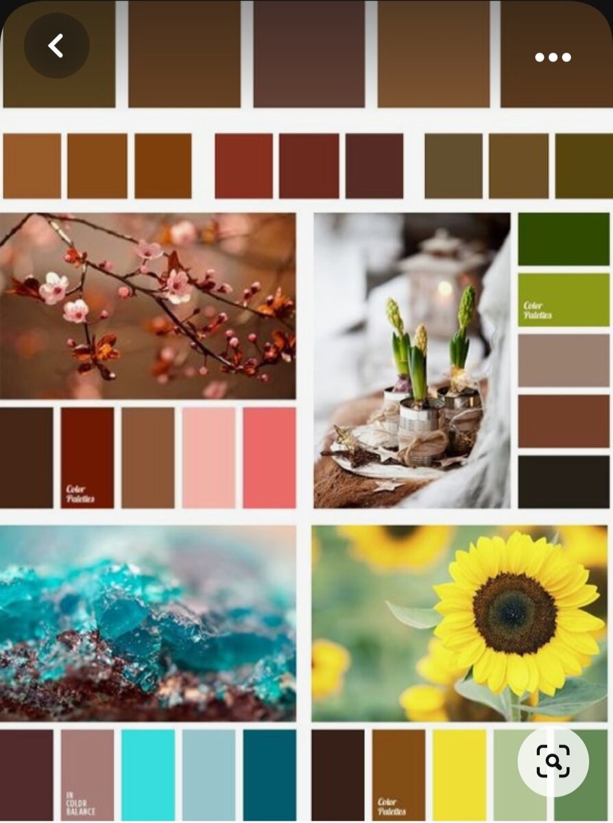 Коричневый палитра сочетаний