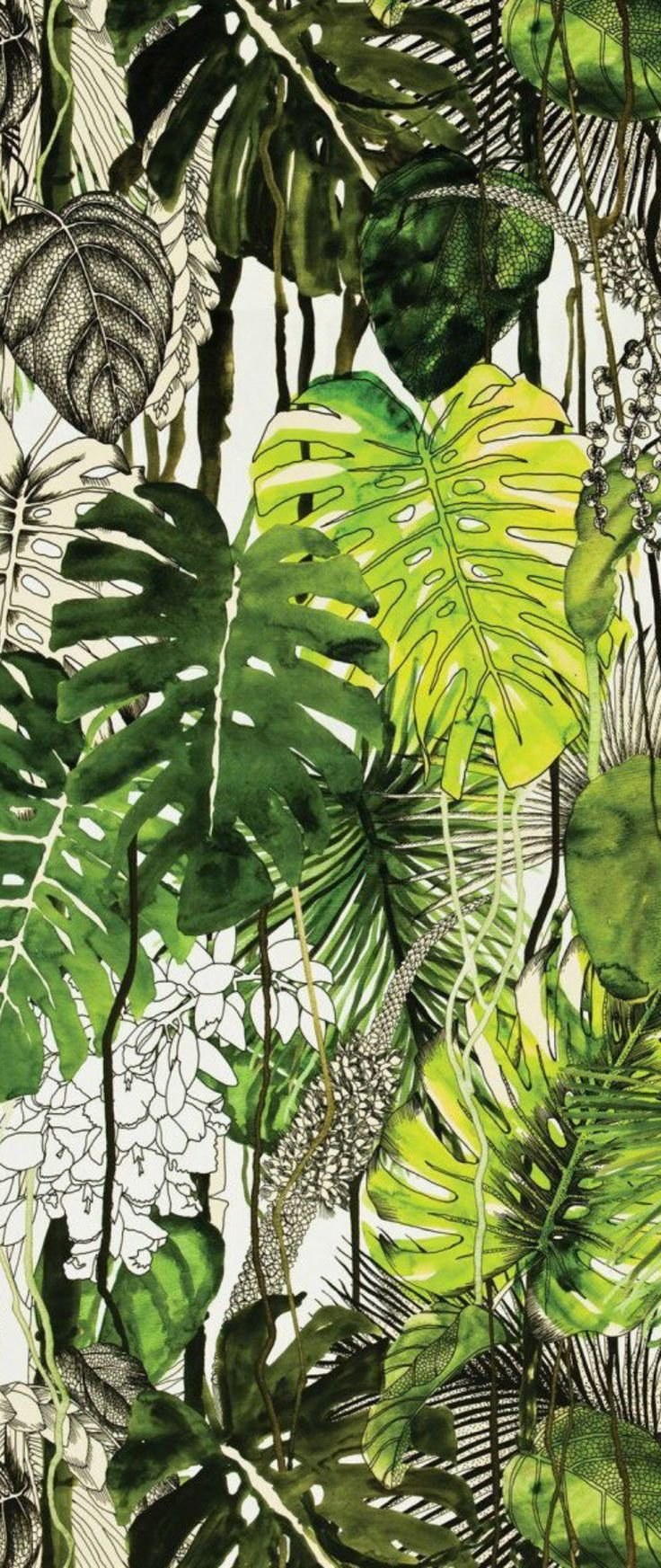 Монстера триптих