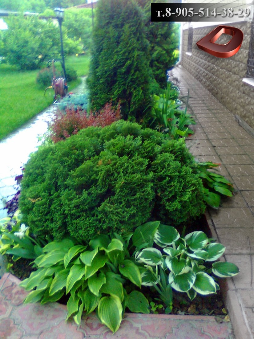 Миксбордер с туей Смарагд