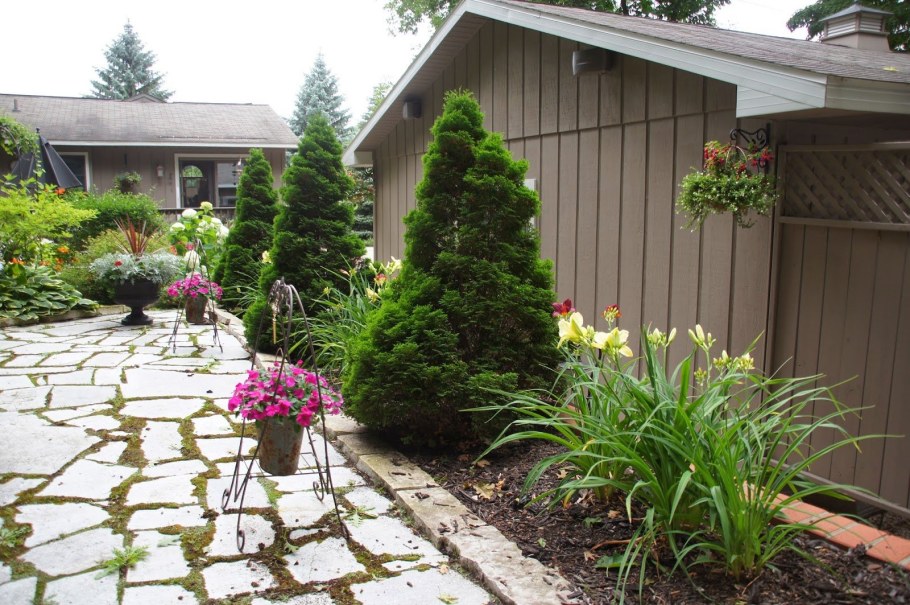 Туя Смарагд в ландшафте