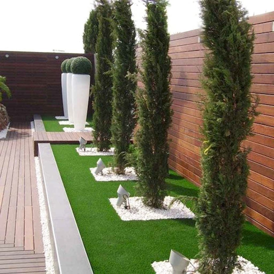 Туя Смарагд можжевельник